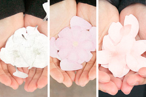 Цветочные стикеры Cosmos, Cherry blossom и Dandelion