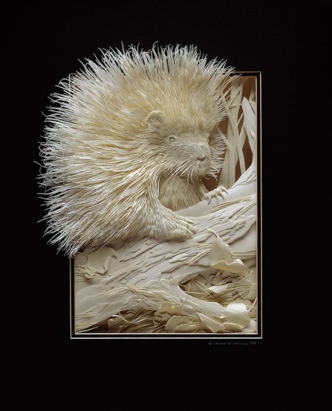 Галерея животных из бумаги от Кэлвина Николлса