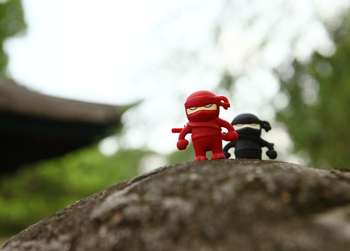 Флешка Ninja Driver из суперпопулярной Bone Collection